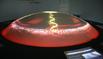Greenhouse Effect Simlation